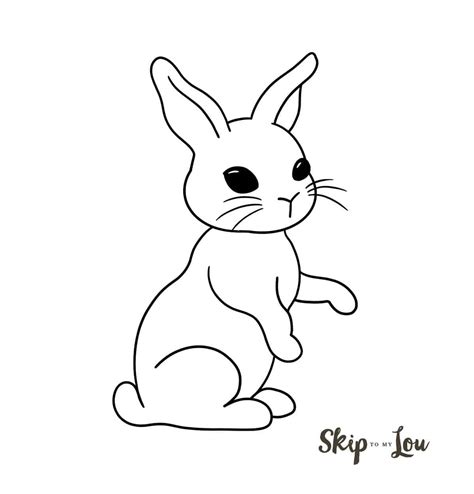 drawing bunny pictures